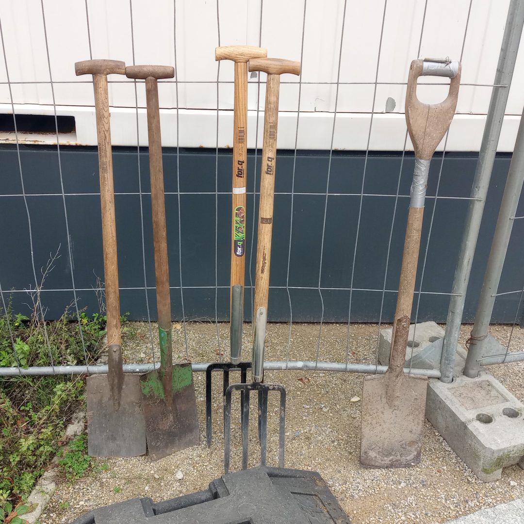 bb_fks_img 20231017_131419089