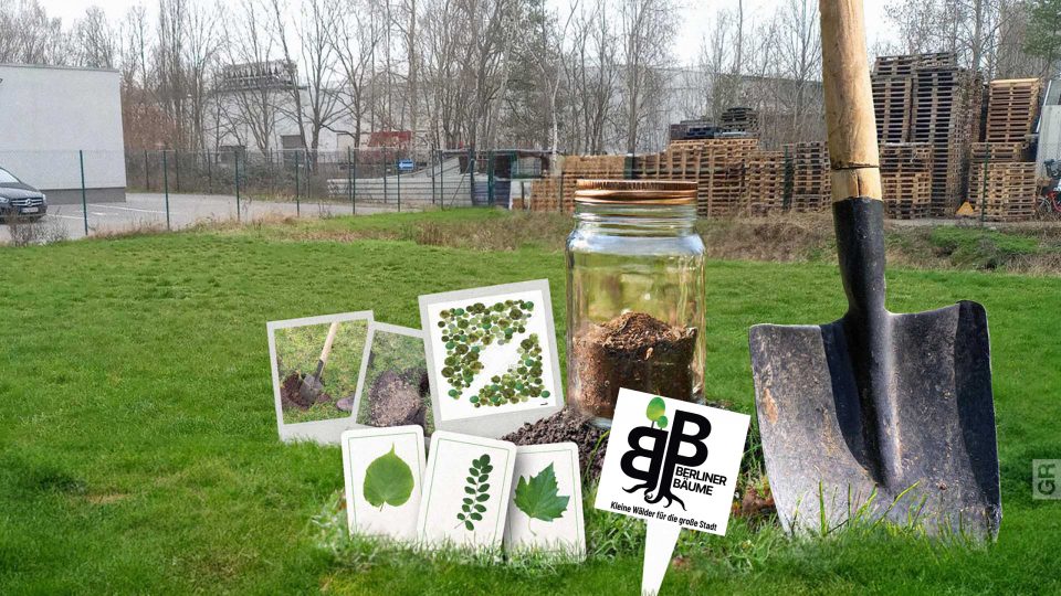 Ein Rasen mit Spielkarten, einer Informationstafel, einer Schaufel und einem Glas, um die Bodenqualität zu testen