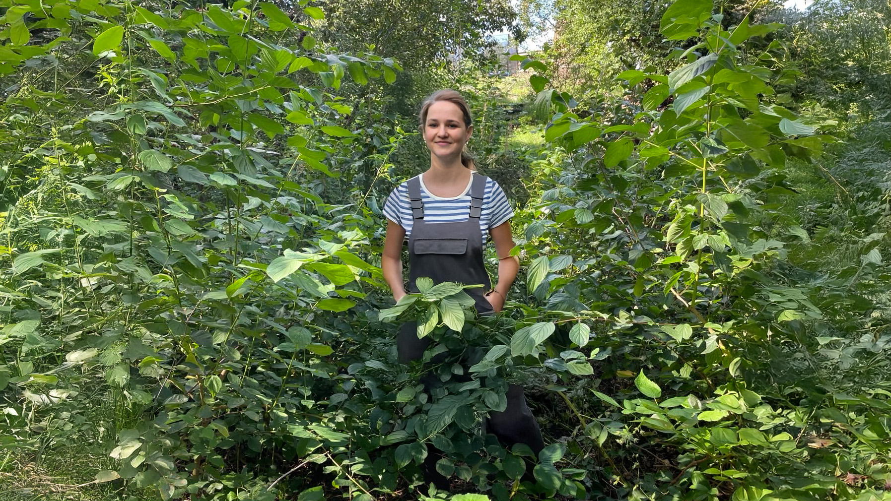 Miniwald Maxiwachstum