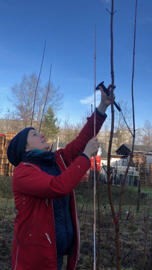 bb_nwsl2_vg_mov6625_260116