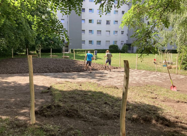 Bodenbearbeitung einer stark verdichteten Rasenfläche