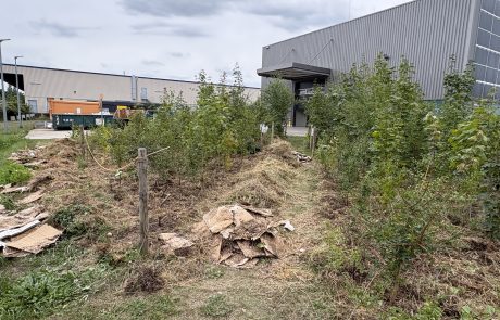 Tiny Forest bei Geyer Umformtechnik in August 2026