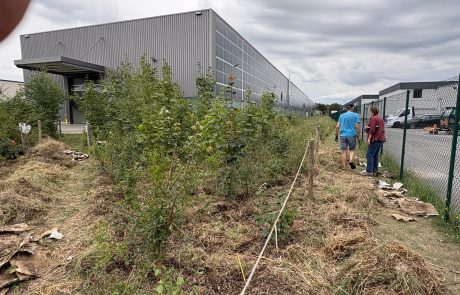Tiny Forest bei Geyer Umformtechnik in August 2026